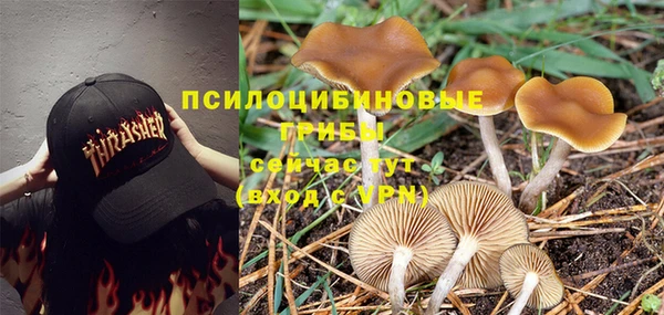 гашишное масло Аша