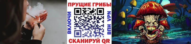 Псилоцибиновые грибы Psilocybine cubensis  цены наркотик  мега ссылка  Петров Вал 